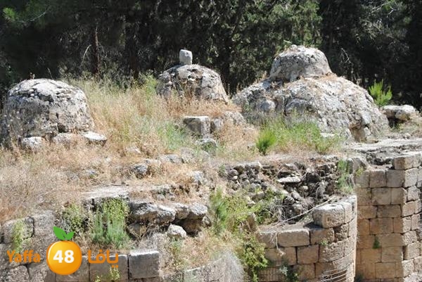 re7la 3emwas 0517 (30).jpg